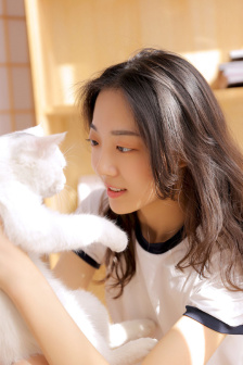 浮图缘在线观看